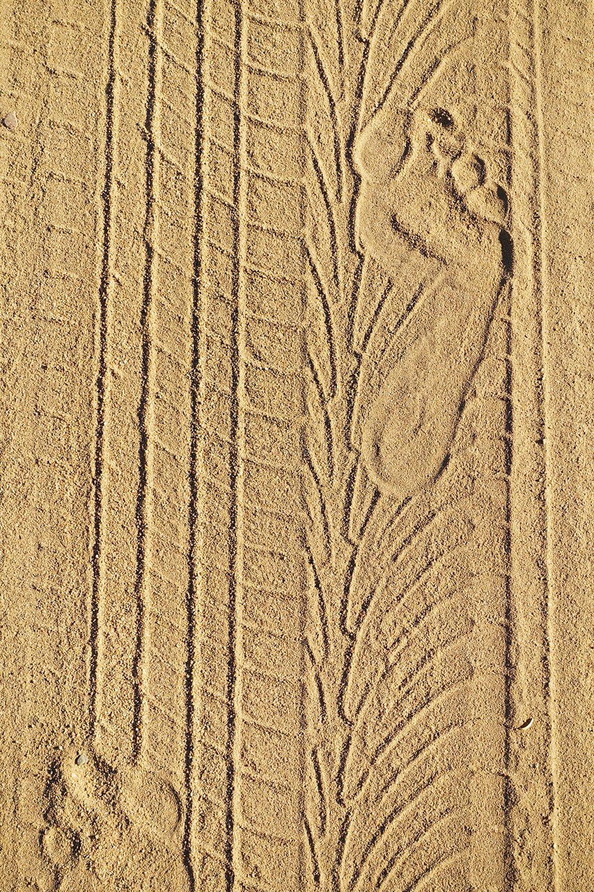 DSC01628B