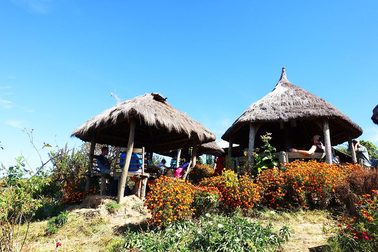 The huts where we had lunch