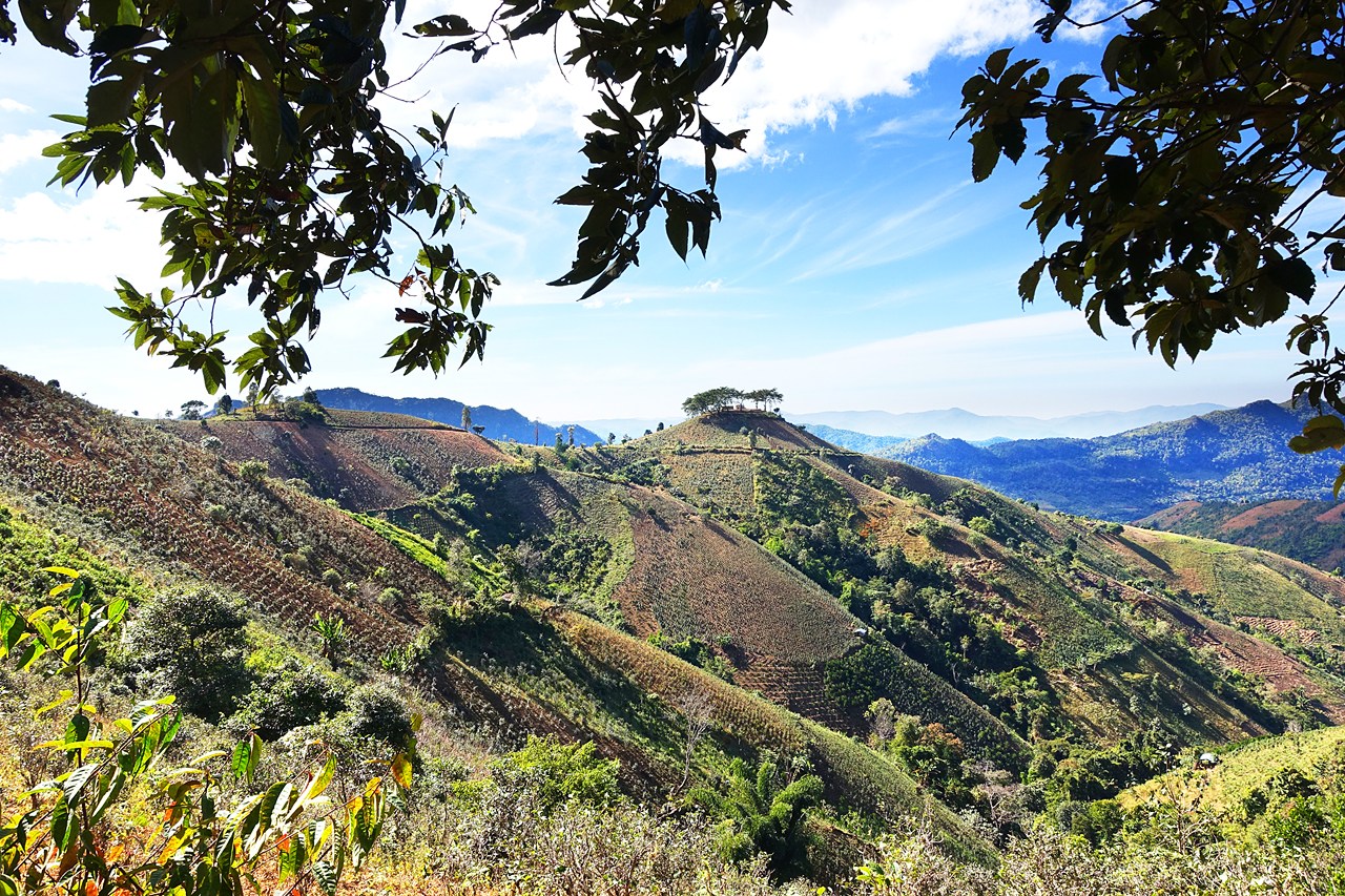 Rolling hills in Kalaw