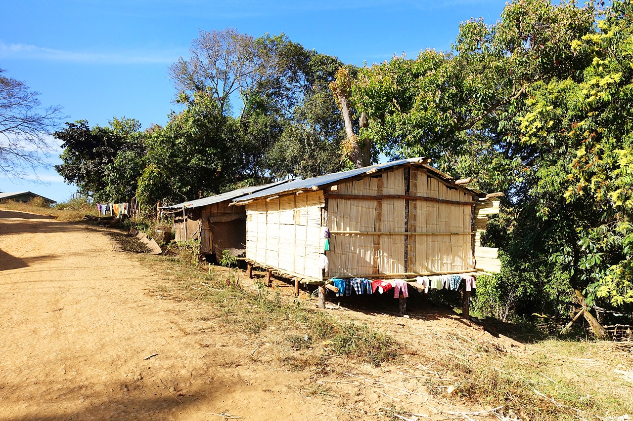 Bamboo houses