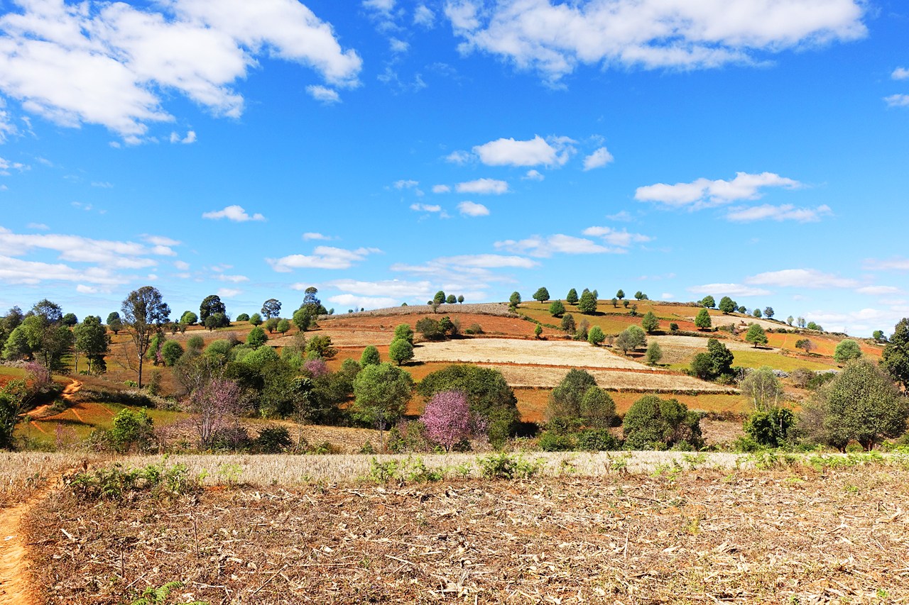 The colorful rural landscape of Shan State