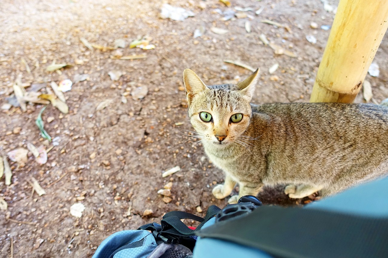 Working her charms to get food from us