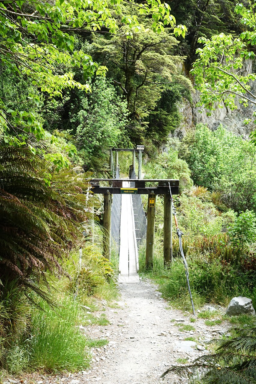 Emily Creek bridge