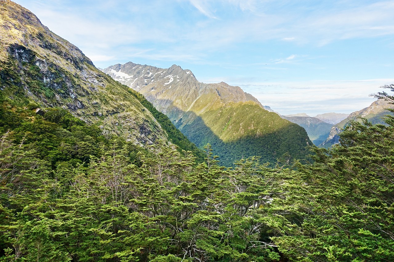 View from Routeburn Falls hut