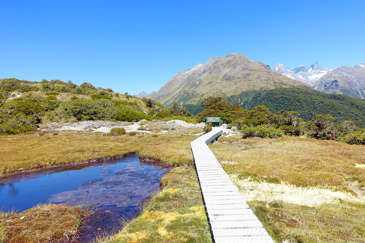 Key Summit Alpine Nature Walk