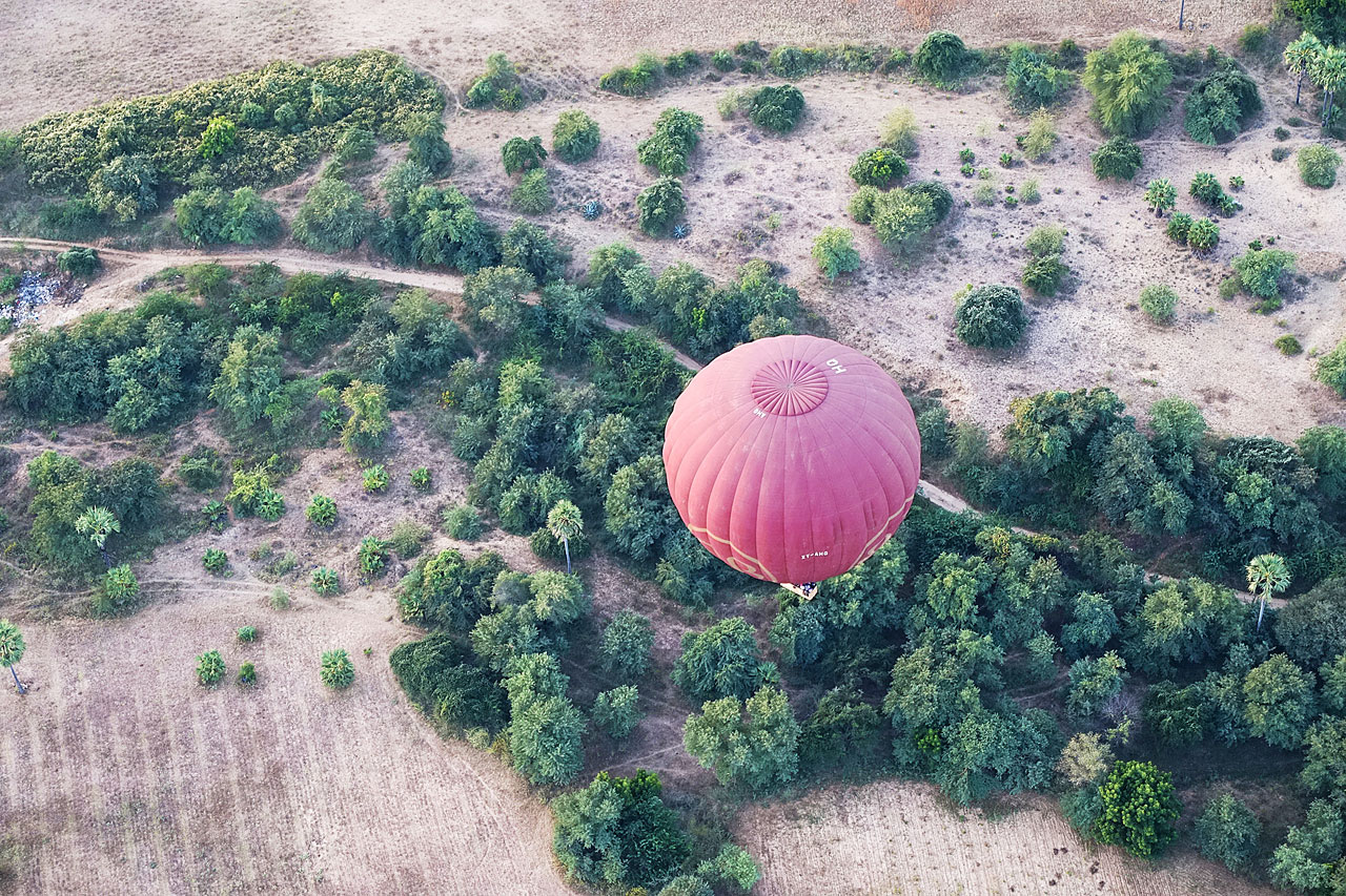 Balloons Over Bagan
