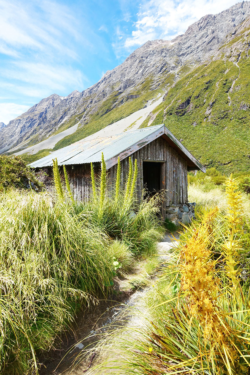 Stocking Stream shelter