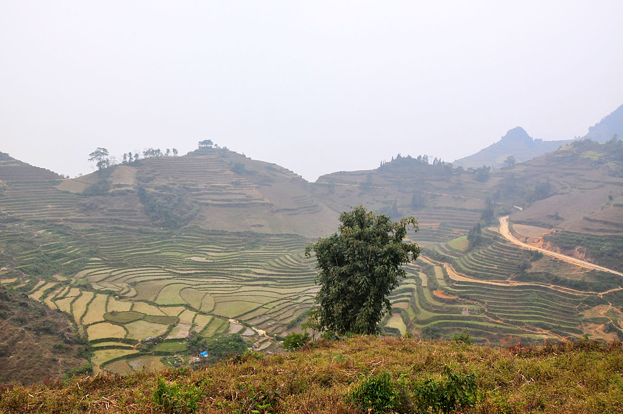 Bac Ha