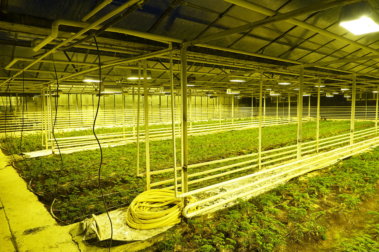 Heiðmörk Greenhouse