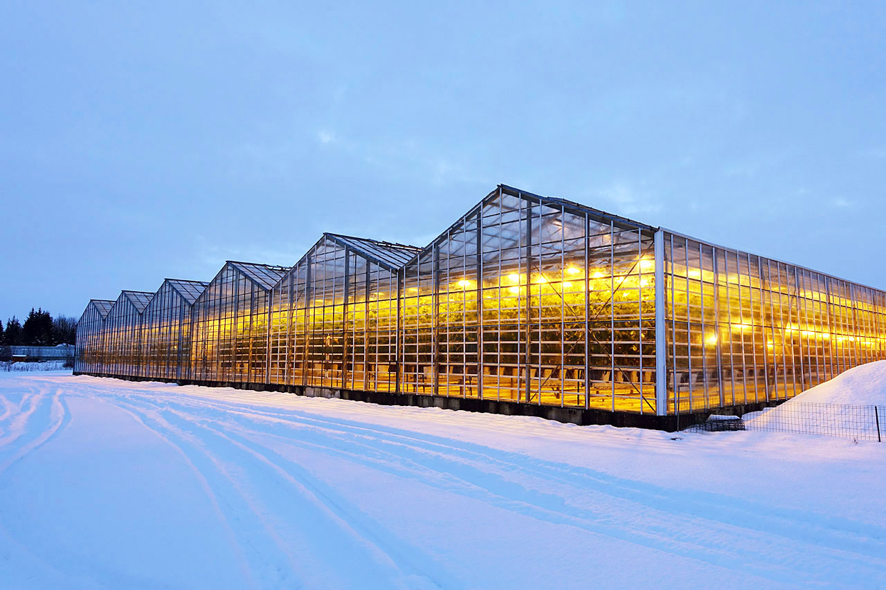 Heiðmörk Greenhouse
