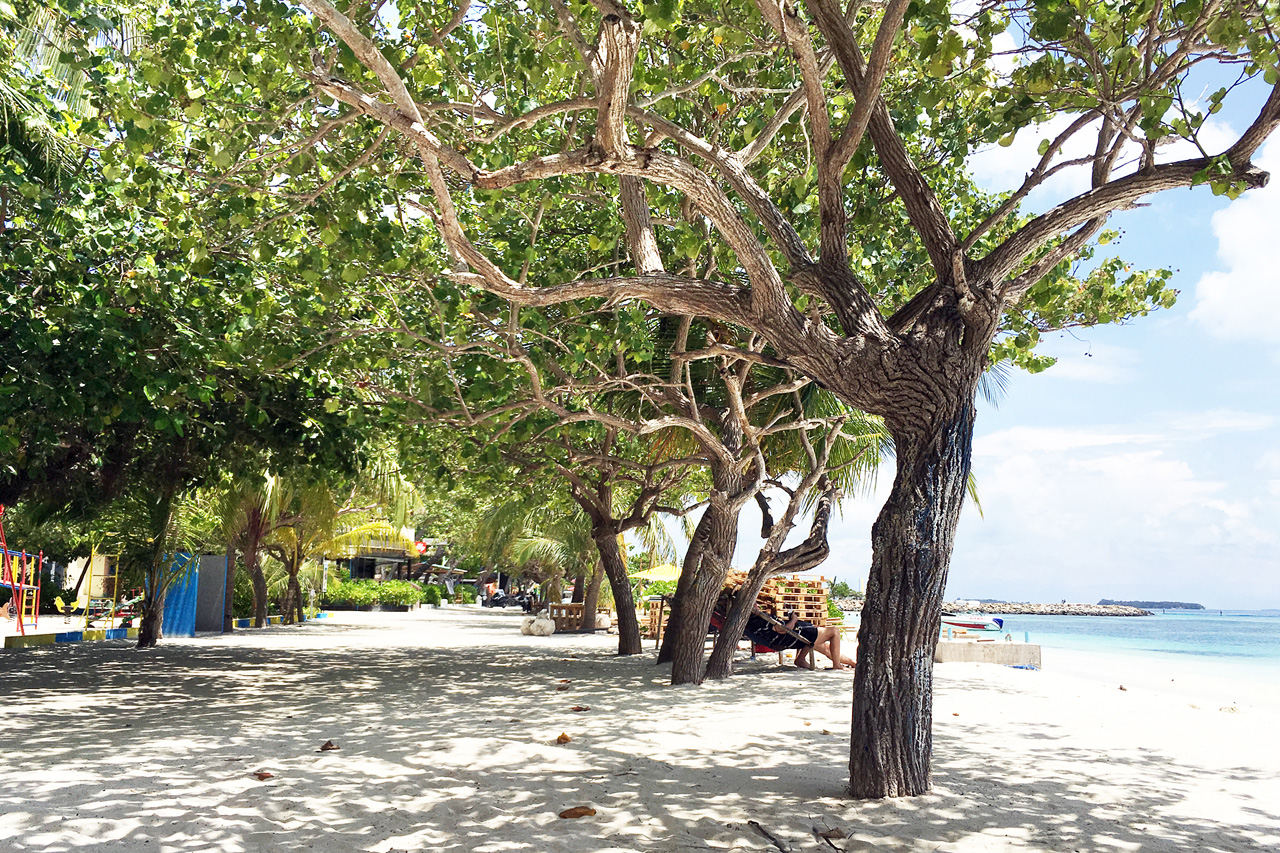 Maafushi island
