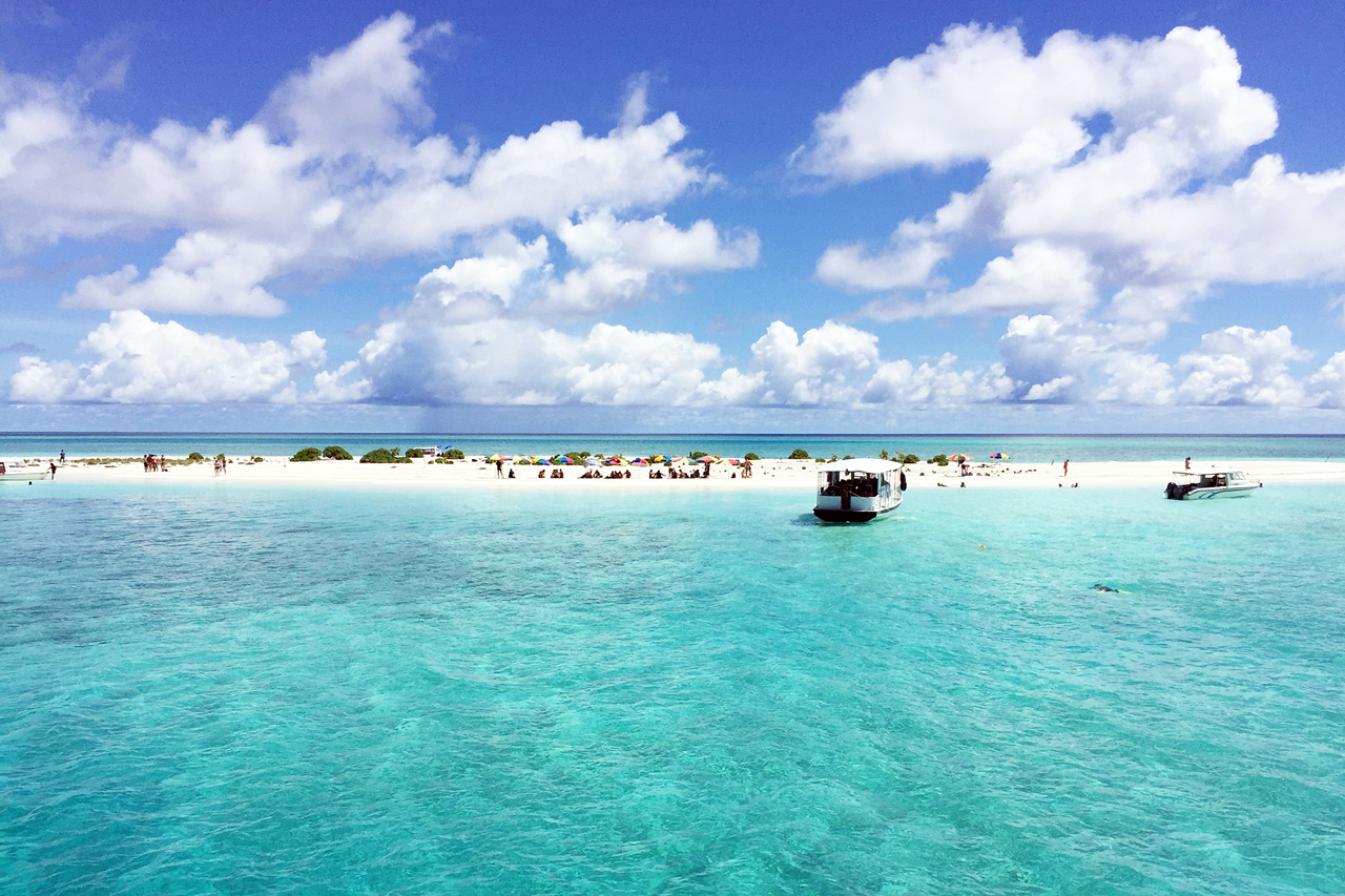 Sandbank (Half day tour)