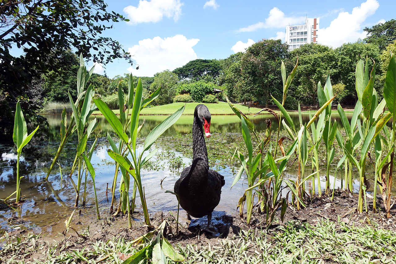 Botanic Garden