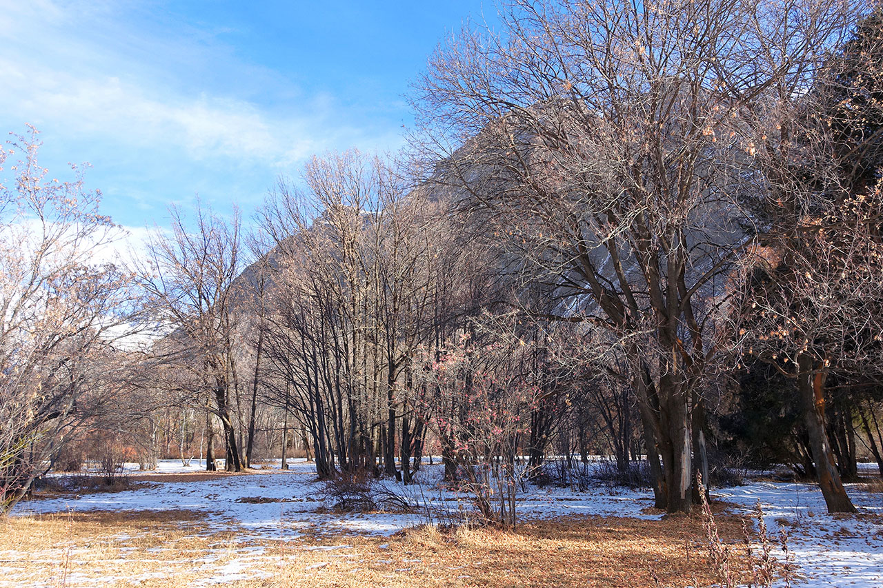 Khorog Botanic Garden