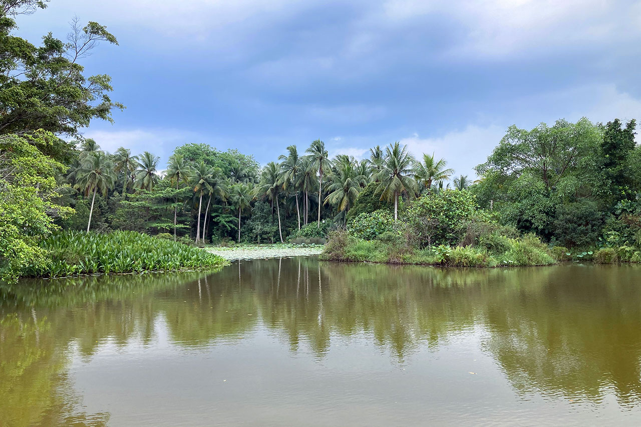 Pulau Ubin