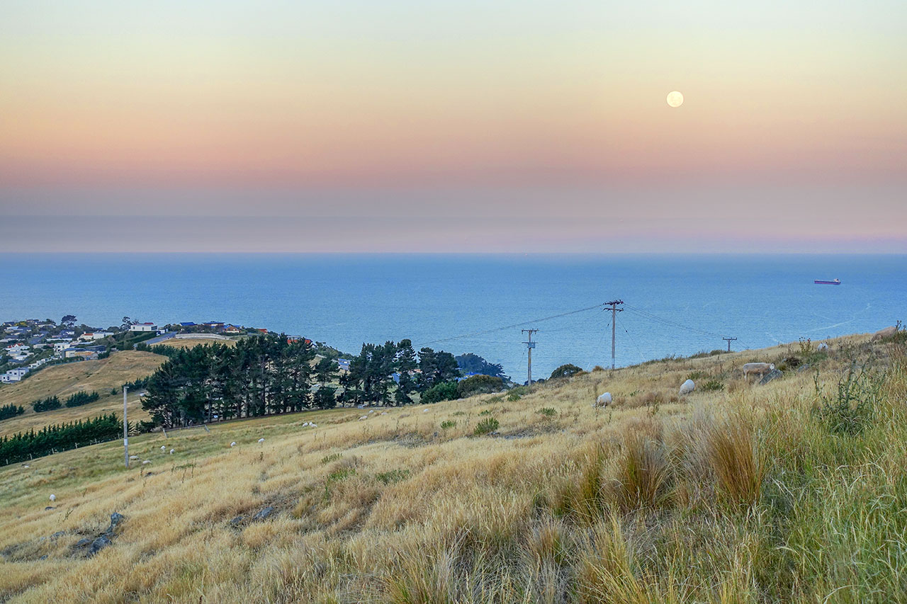 Port Hills