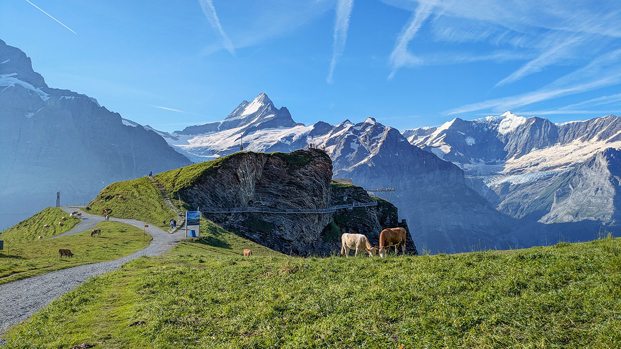 Grindelwald First