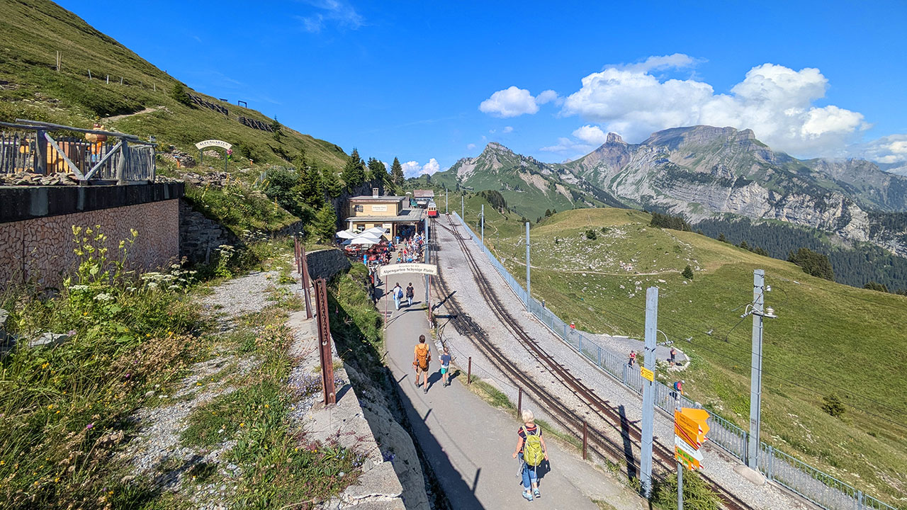 Schynige Platte