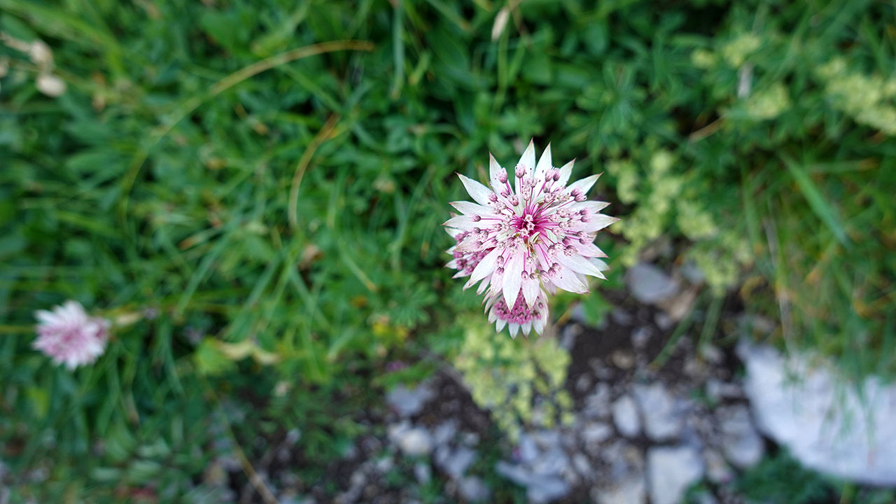 DSC00117