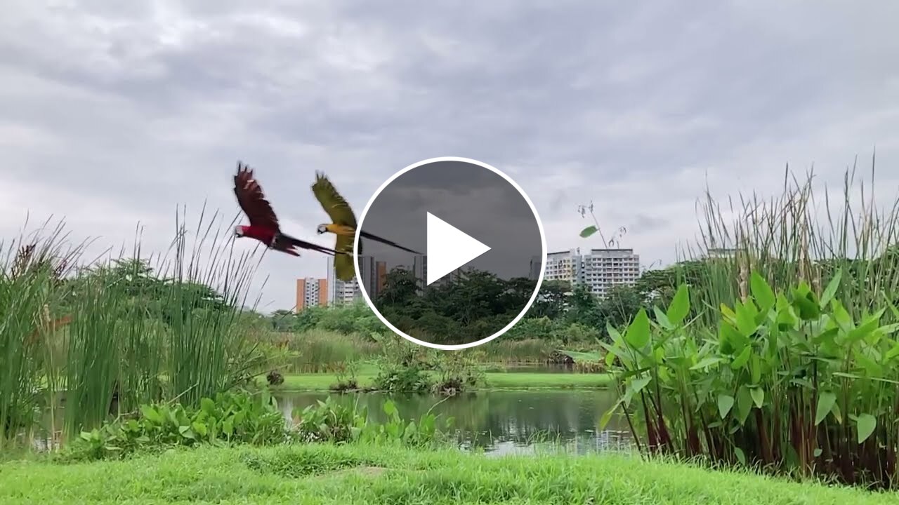 Sengkang Riverside Park