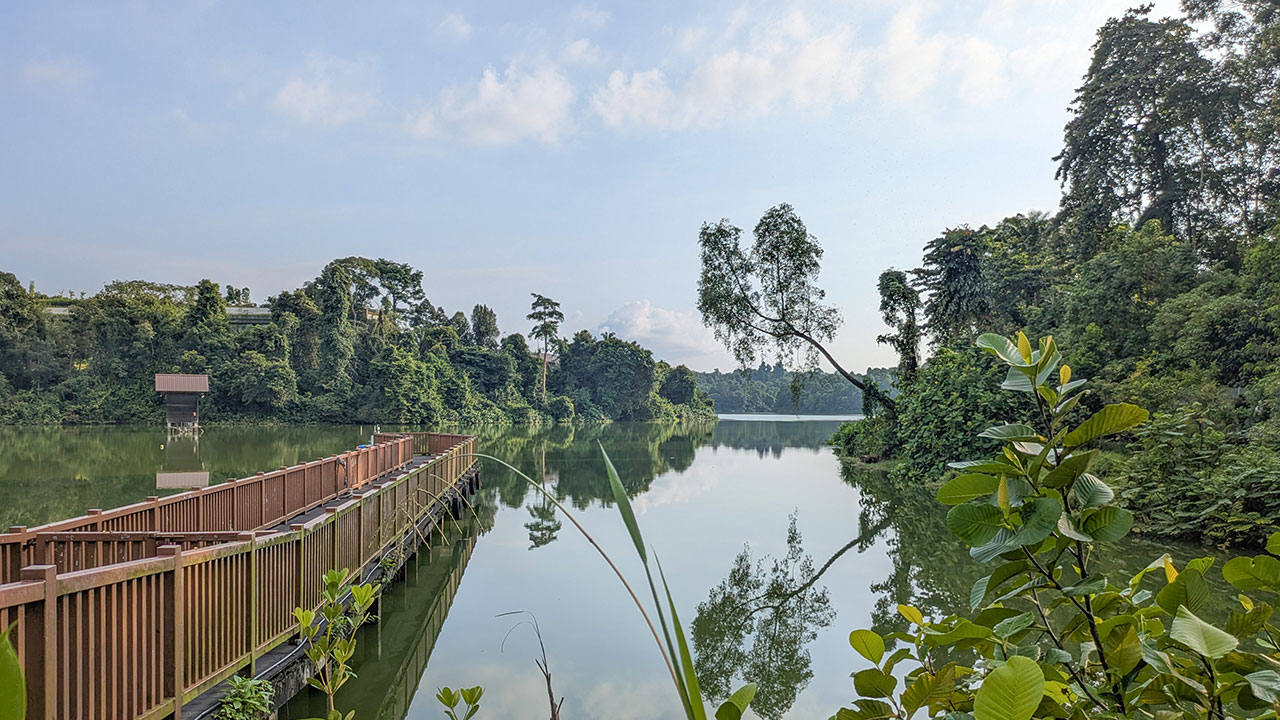Mandai Boardwalk