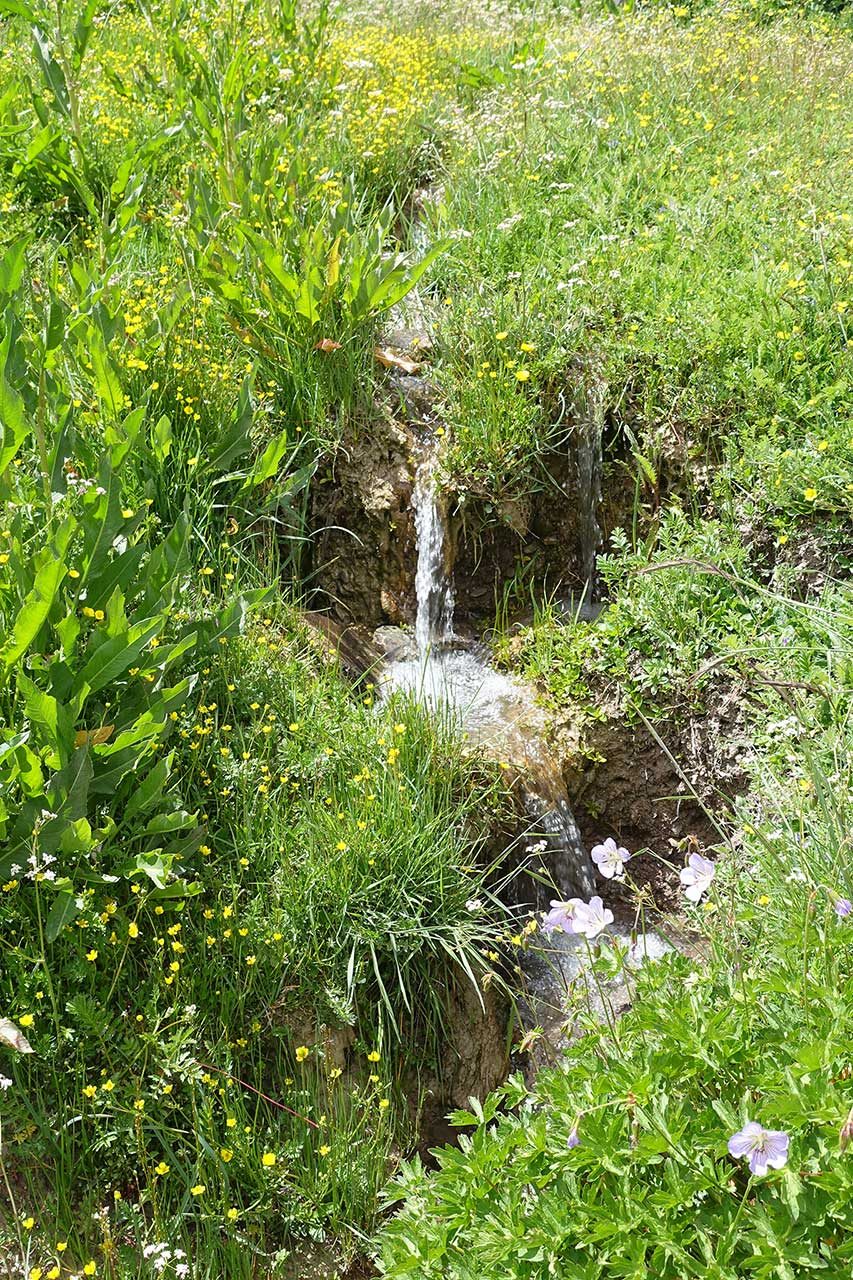 DSC00675