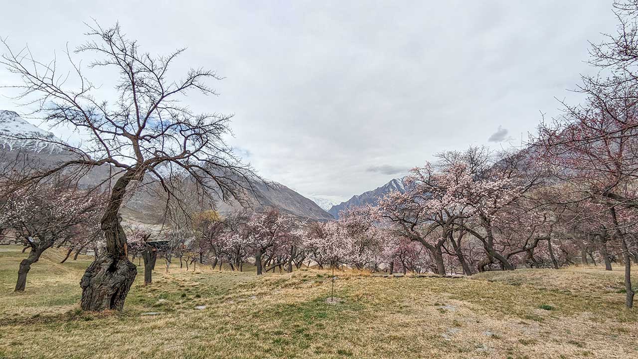 Royal Garden of Altit Fort