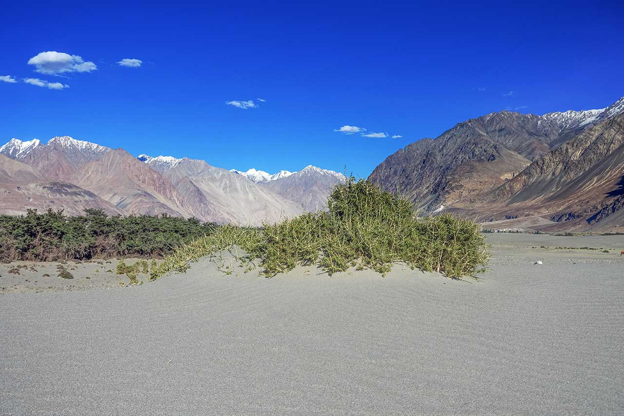 Hunder Sand Dunes