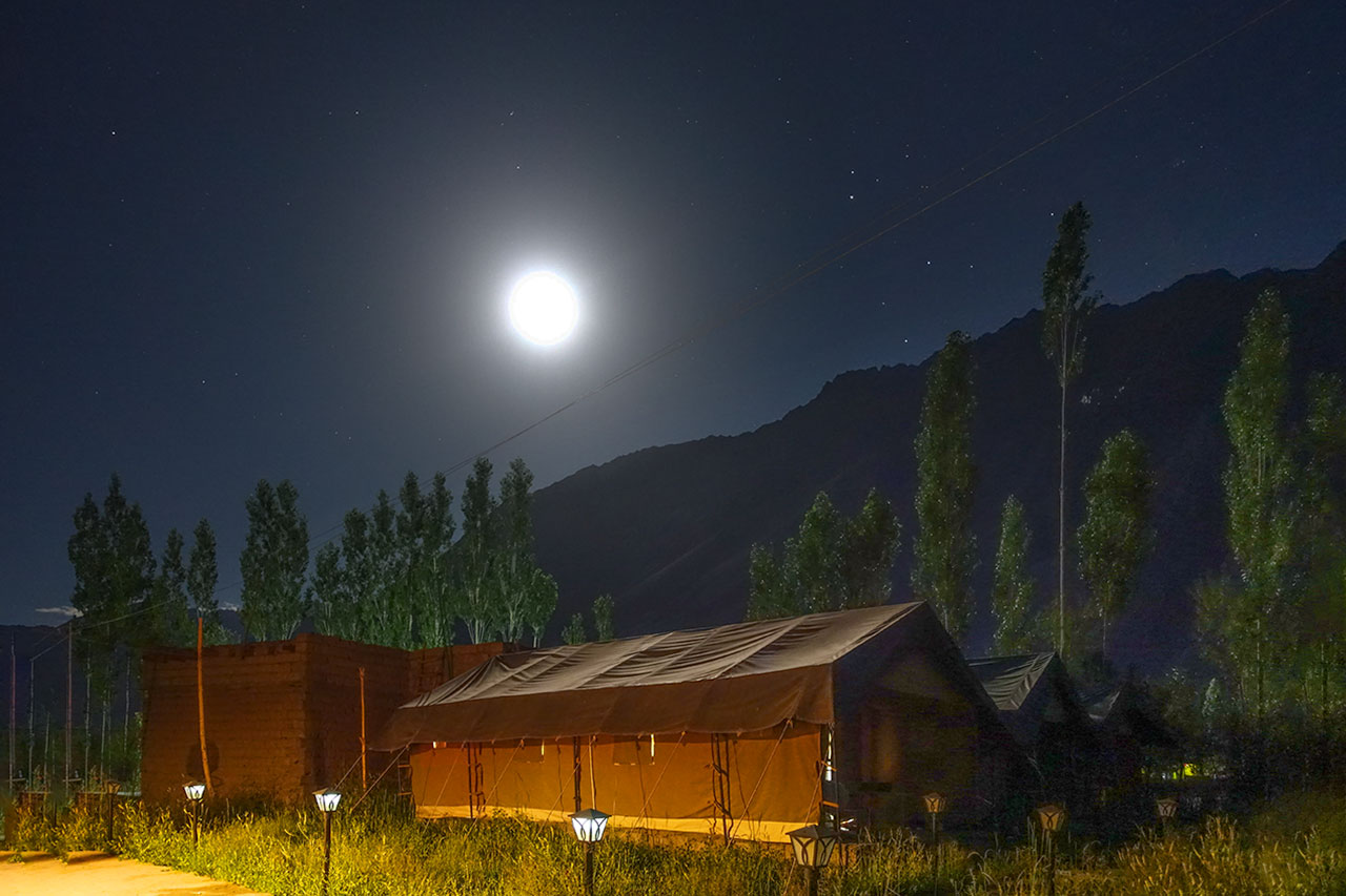 DE Nubra Camp, Nubra Valley