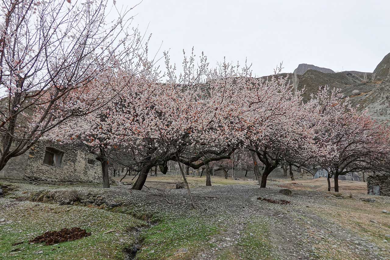 Karimabad