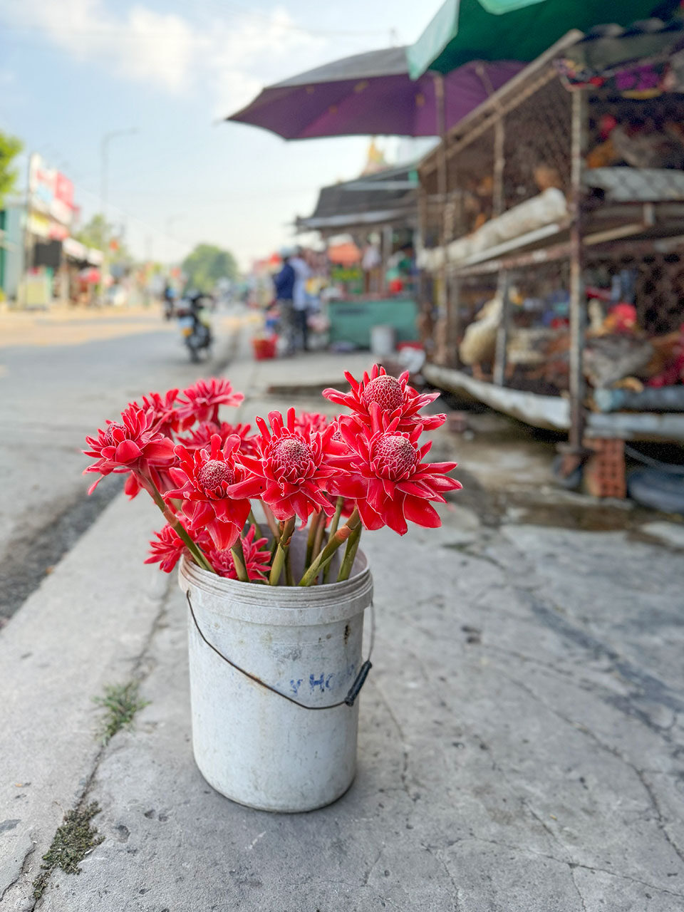Cua Can Market