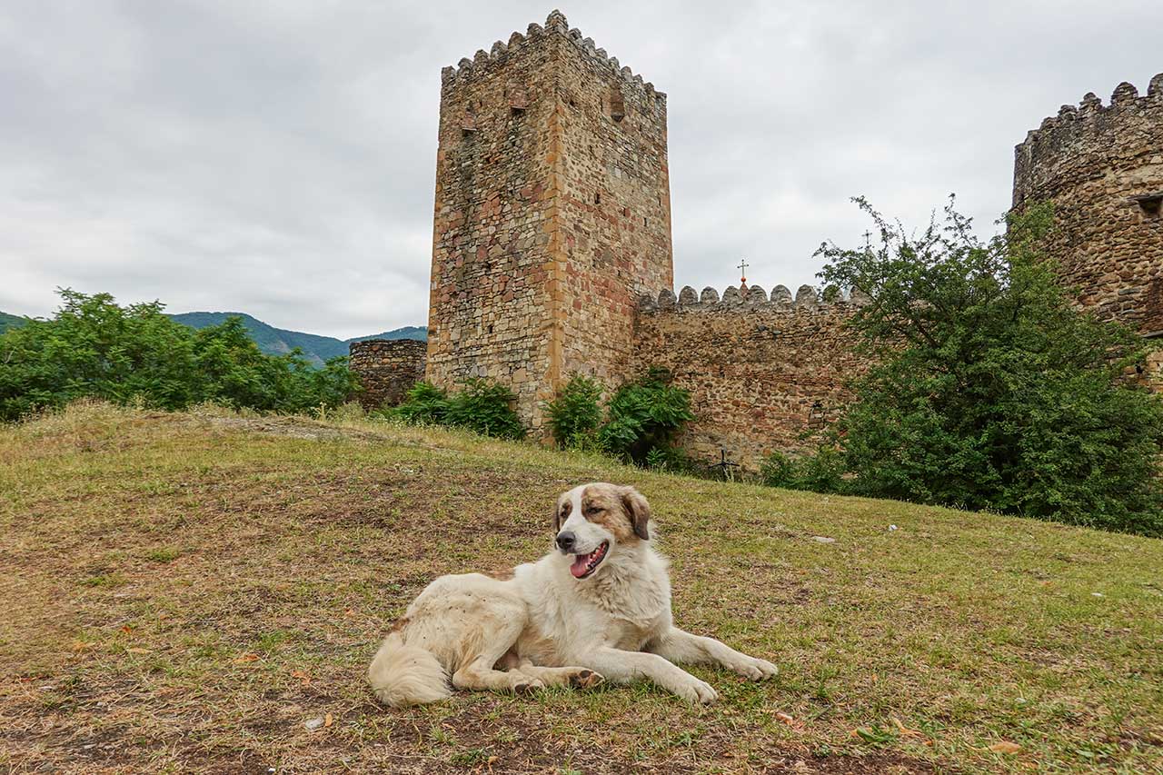 Ananuri Fortified Church