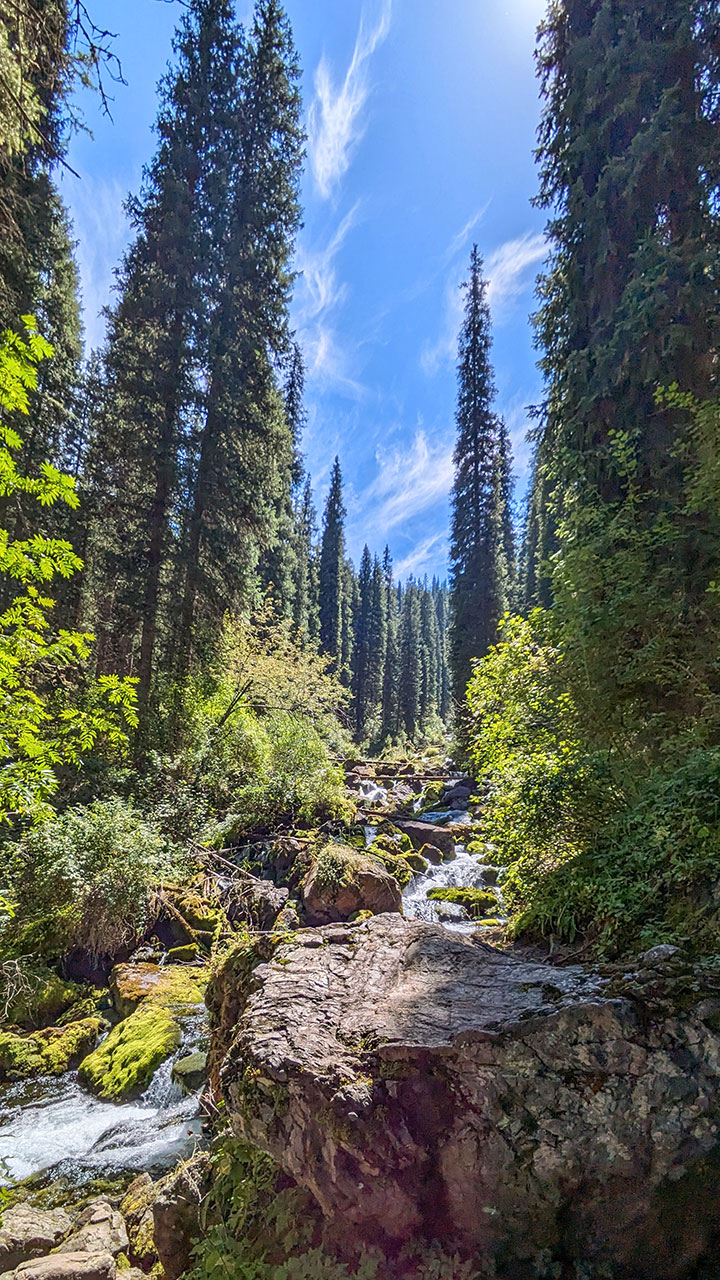 Trek from Kolsai Lake 1 → Lake 2