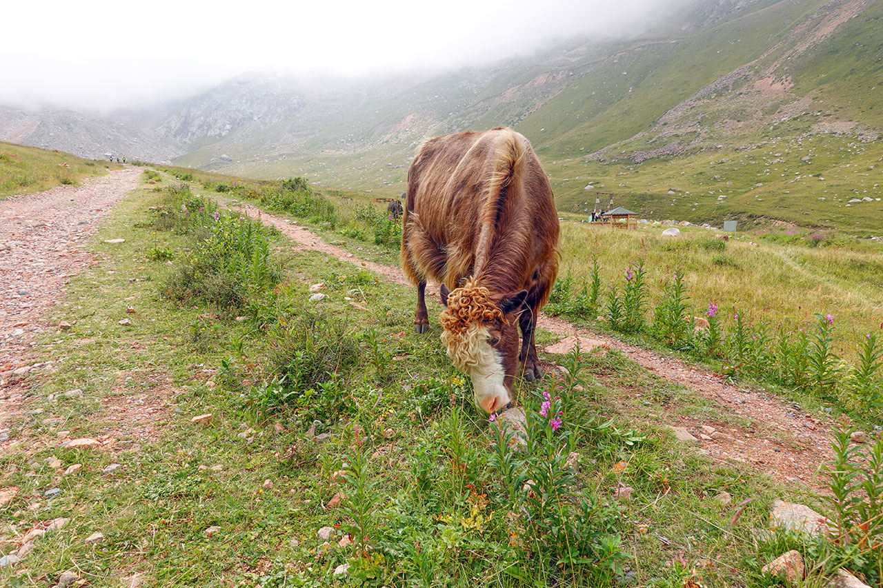 Hike to Manshuk Mametova Lake