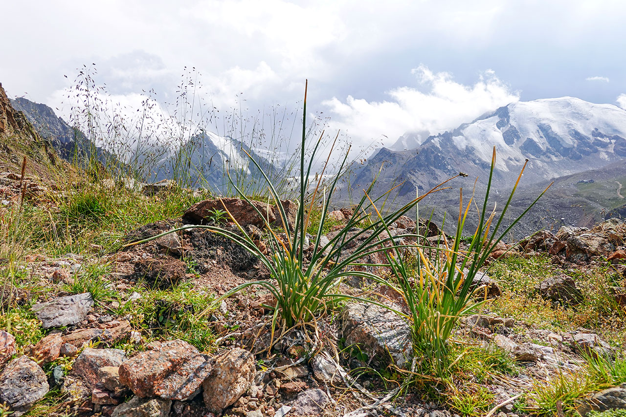 Hike to Manshuk Mametova Lake