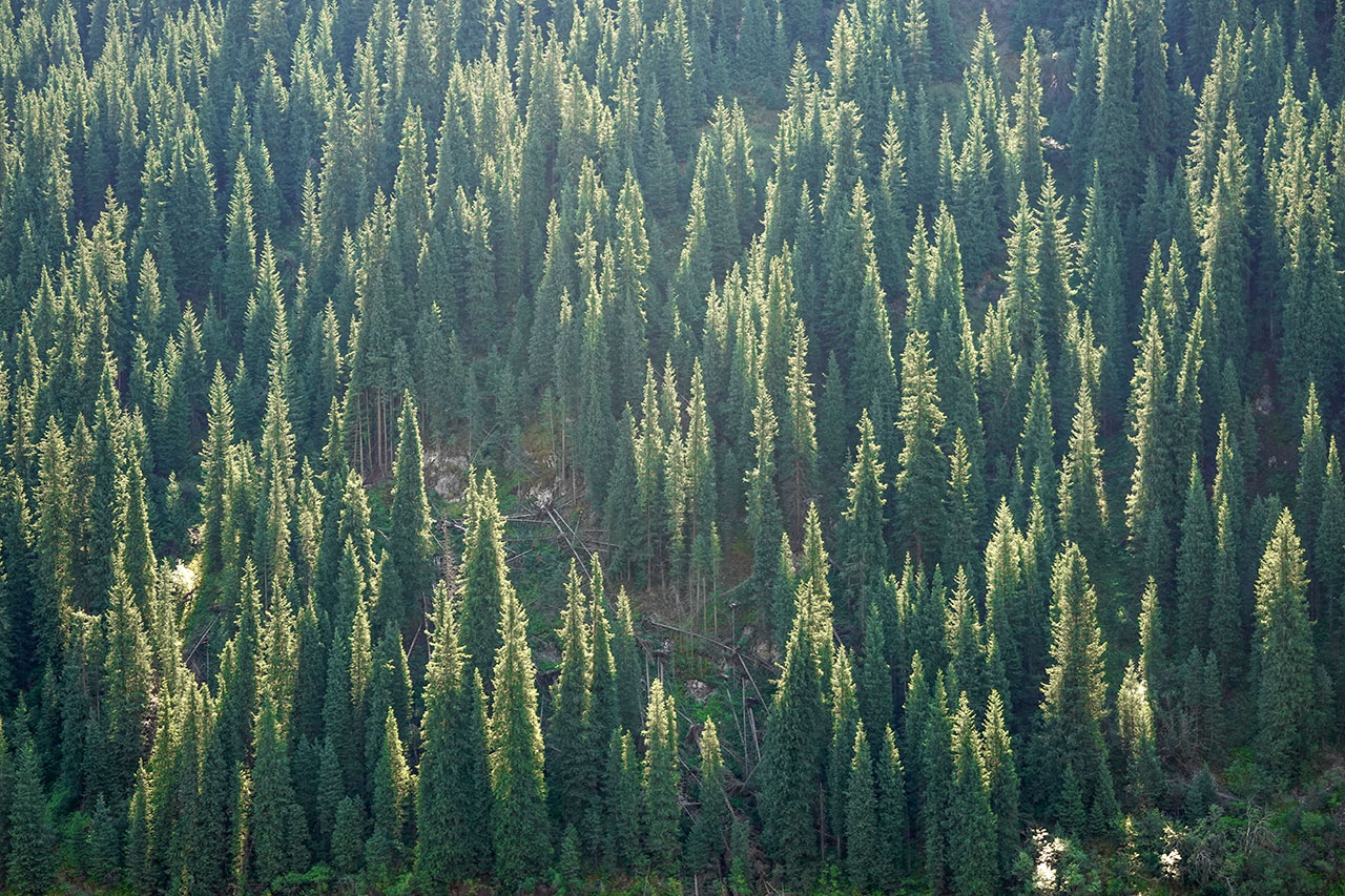 Kolsai Lake 1